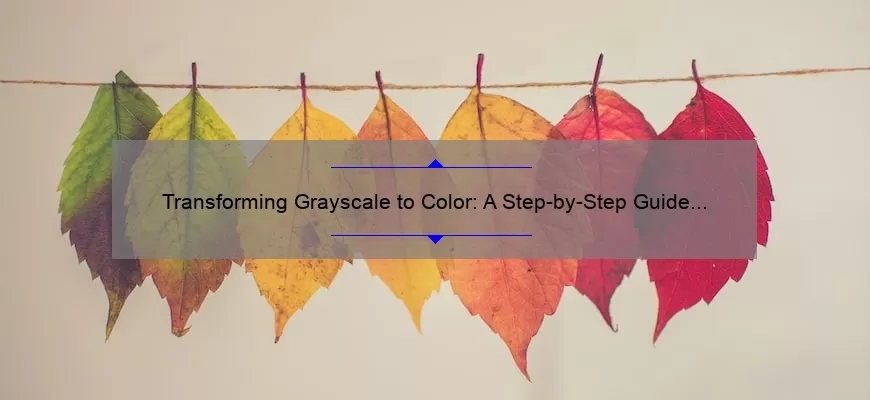 Transforming Grayscale to Color: A Step-by-Step Guide in Photoshop